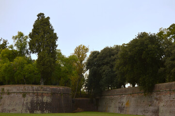 Árboles sobre la muralla de Lucca - Toscana - Italia