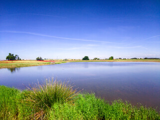 Lagunillas tras las lluvias