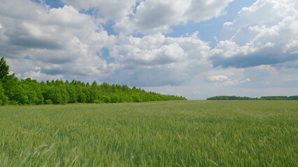 A Stunning Lush Green Field Set Under a Dramatic Yet Beautiful Sky full of Clouds