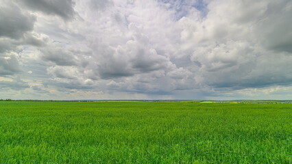 A Vast Lush Green Field Under Dramatic and Beautiful Clouds Displaying Natures Splendor
