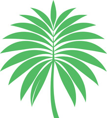 a palm tree leaf silhouette vector