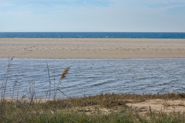 Cielo, playa, arena y playa con ramas