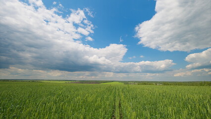 Stunningly Beautiful Scenic Landscape Showcasing Lush Green Fields Under a Clear Blue Sky