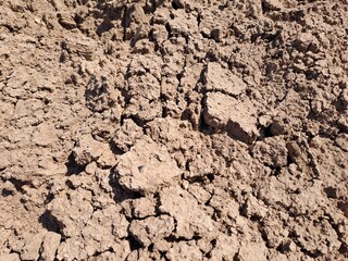 soil texture background