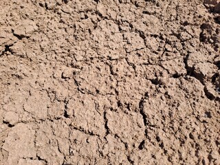 texture of the ground