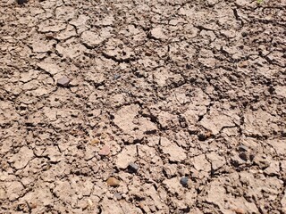 dry soil background