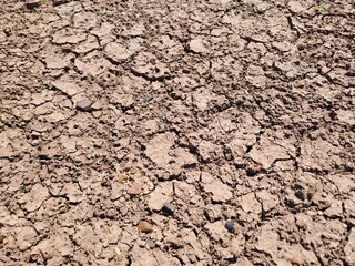 dry cracked earth