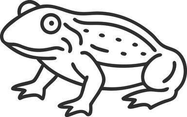 african bullfrog line arts with white background
