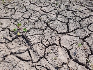 cracked earth background