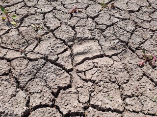 cracked earth texture