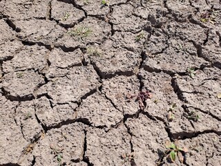 dry cracked earth