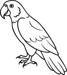african grey parrot line arts with white backgroun