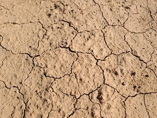 dry cracked earth