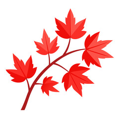 Fototapeta premium vector leaf with branch