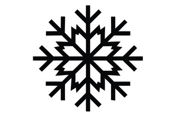 snowflake vector icon