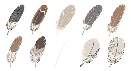 Elegant Feather Collection: A Variety of Detailed Bird Plumes in Natural Colors and Styles, perfect for your creative project