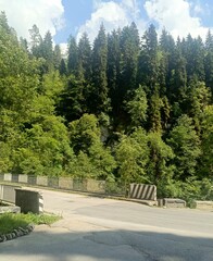 Asphalt road leading to a bridge over a valley in green and grey colors representing a journey and transportation