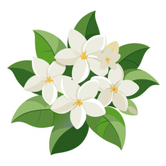 Obraz premium flower on white