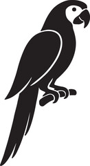 Macaw parrot vector art  পাখি