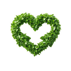 Heart Shape Made of Fresh Green Leaves with Lush Texture for Nature and Eco-Friendly Themes