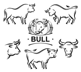 Bull labels and icon set. Collection icons bull. Vector