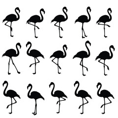Obraz premium Silhouette flamingos standing and walking in rows bird