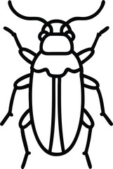 ambrosia beetle line arts with white background. Ambrosia Beetle hand drawing vector isolated on white background.
