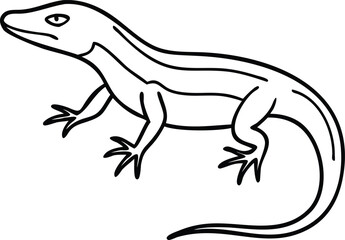 anole lizard line arts with white background. Curious Anole Lizard Tilts Head While Resting on Branch in the Sun