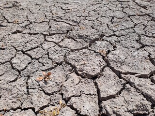 cracked earth background