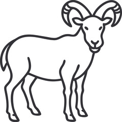 aoudad sheep line arts with white background 