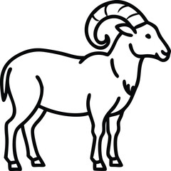 aoudad sheep line arts with white background 