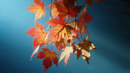 Autumn Leaves Illuminated Against a Blue Gradient Background
