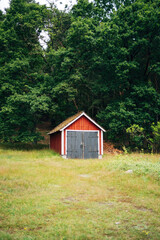 Cozy Cabin in the Forest