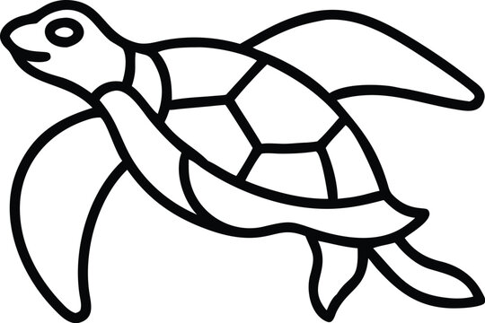 archelon turtle line arts with white background.eps