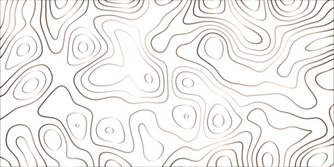 Topographic canyon geometric map relief texture with curved layers and shadow. abstract White background with a beautiful pattern, Topographic contour lines vector map seamless pattern vector.