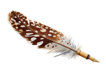 A detailed feather quill pen