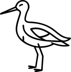 avocet line arts with white background. Pied avocet, Recurvirostra avosetta,  black and white wader, stilt family, isolated on white