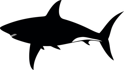 Aggressive shark illustration with sharp teeth and fins