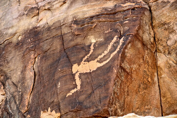 Ancient Petroglyphs at Gold Butte National Monument, Nevada