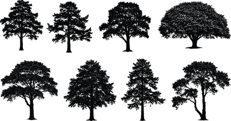 Silhouette Tree Vector Set, Deciduous and Coniferous Trees, Black Nature Shapes, Forest Clipart for Design, Landscape and Outdoors