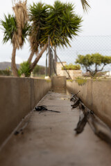 Abandoned irrigation ditch with remains of water.