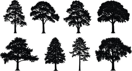 Tree Silhouettes Vector Pack, Coniferous and Deciduous Trees, Black Nature Shapes for Design, Forest Elements, Outdoor Eco Illustration Set