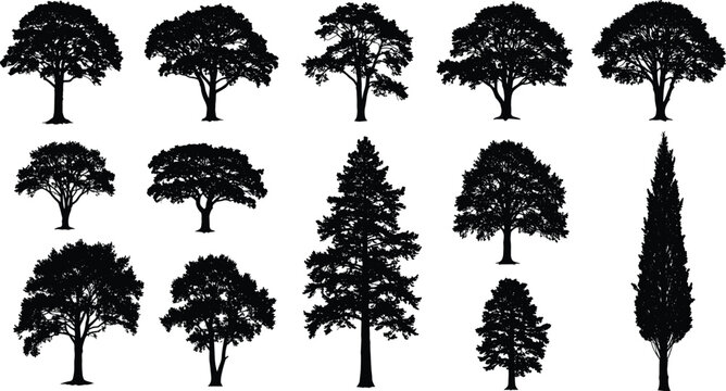 Tree Silhouettes Vector Set, Diverse Deciduous and Coniferous Trees, Black Nature Shapes, Forest Clipart for Design, Landscape
