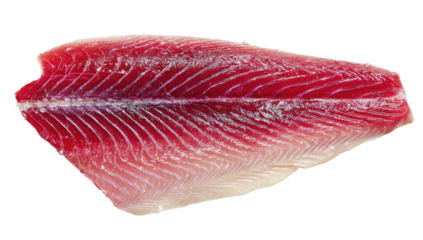Raw fish fillet, red flesh,  pale underside