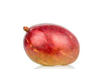 Ripe juicy mangoes on a white background, close-up.