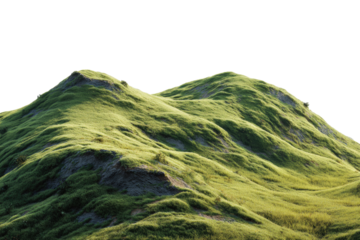 Lush, rolling hills covered in vibrant green grass.  A detailed, natural landscape with soft curves
