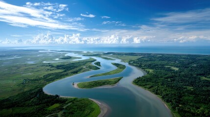 Fototapeta premium Aerial view of a wide river delta, channels winding through wetlands, lush green vegetation, rich biodiversity, great for environmental or nature documentary stock photo