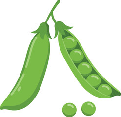 Fresh green peas in pods healthy food illustration