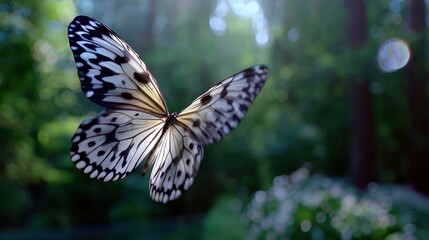 Butterfly flapping wings, delicate motion captured, slow motion, garden backdrop