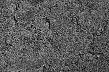 gray background, gray wall in the photo
